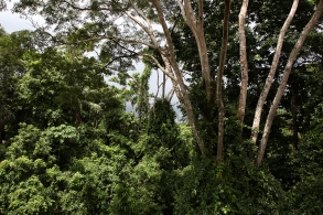 Xapuri, Acre, Brasilia